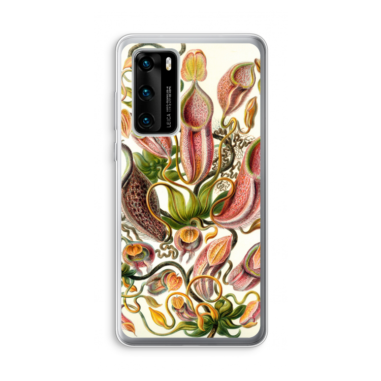 Haeckel Nepenthaceae: Huawei P40 Transparant Hoesje