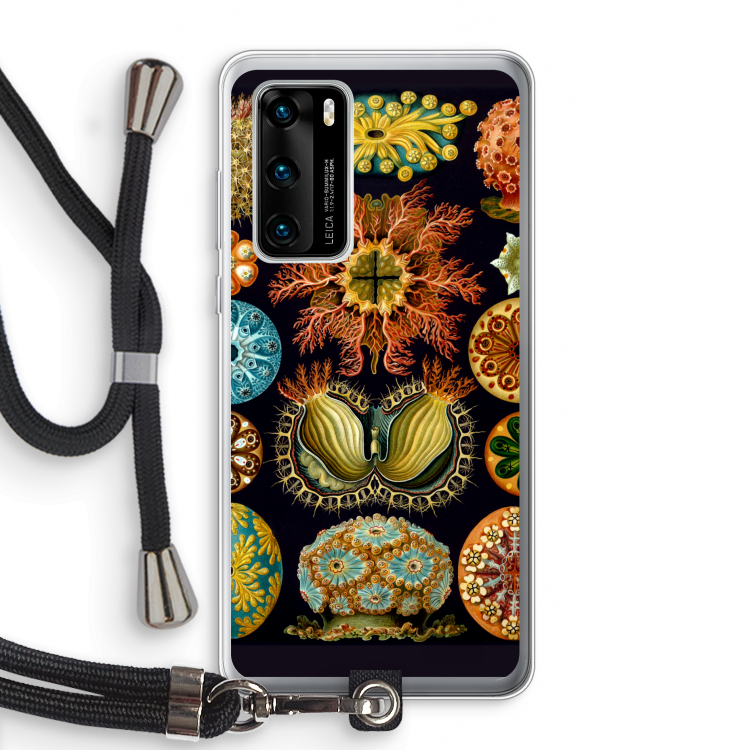 Haeckel Ascidiae: Huawei P40 Transparant Hoesje met koord