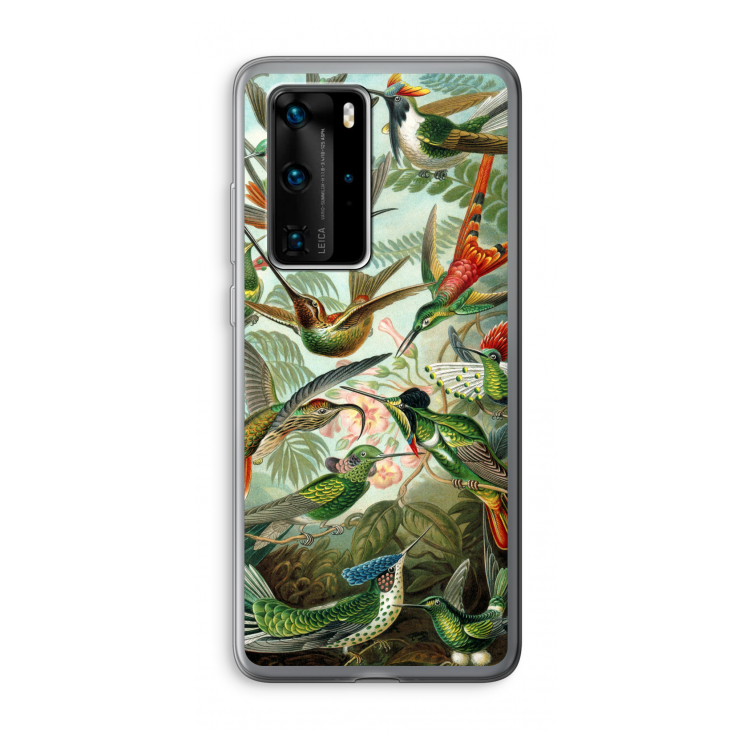 Haeckel Trochilidae: Huawei P40 Pro Transparant Hoesje