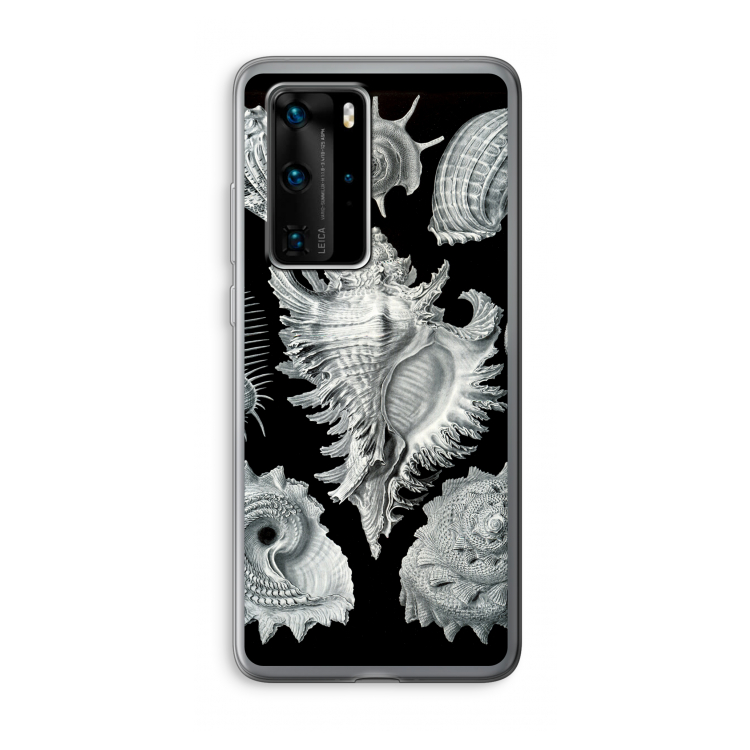 Haeckel Prosobranchia: Huawei P40 Pro Transparant Hoesje