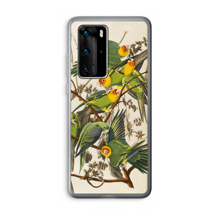 Carolinaparkiet: Huawei P40 Pro Transparant Hoesje