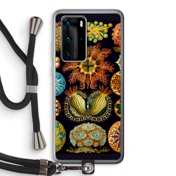 Haeckel Ascidiae: Huawei P40 Pro Transparant Hoesje met koord