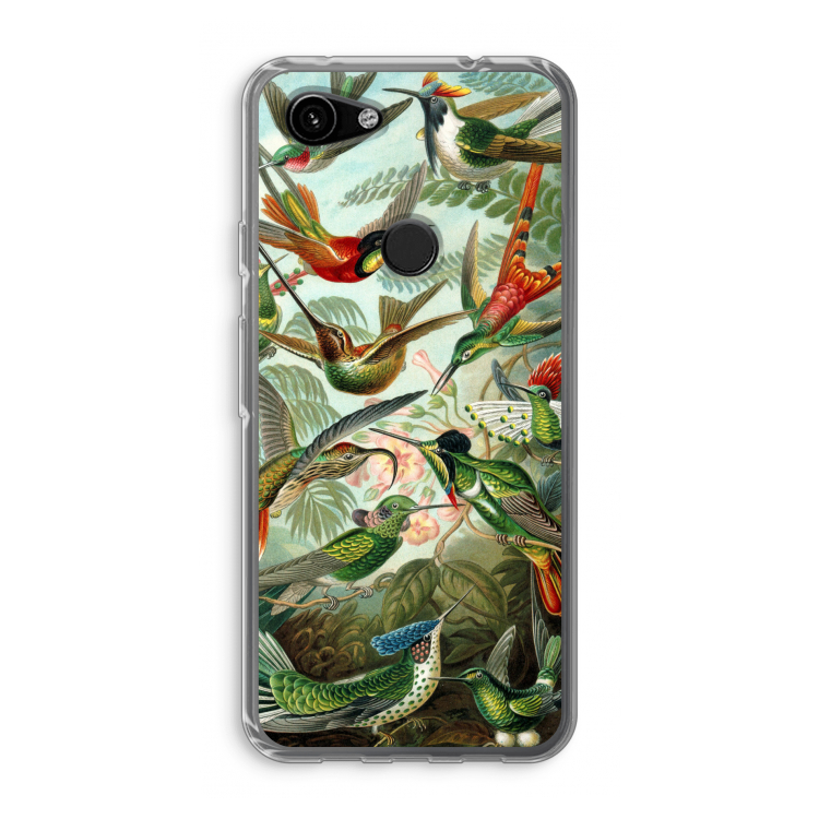 Haeckel Trochilidae: Google Pixel 3a Transparant Hoesje