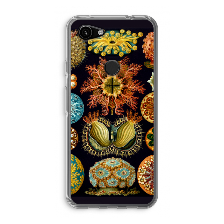 Haeckel Ascidiae: Google Pixel 3a Transparant Hoesje