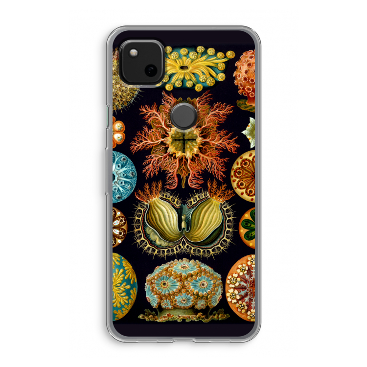 Haeckel Ascidiae: Google Pixel 4a Transparant Hoesje