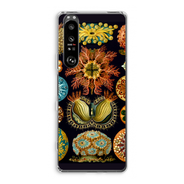 Haeckel Ascidiae: Sony Xperia 1 III Transparant Hoesje