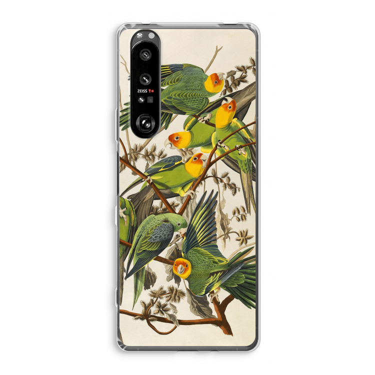 Carolinaparkiet: Sony Xperia 1 III Transparant Hoesje