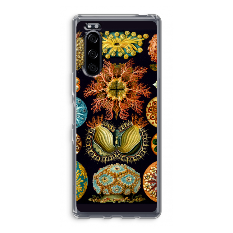 Haeckel Ascidiae: Sony Xperia 5 Transparant Hoesje