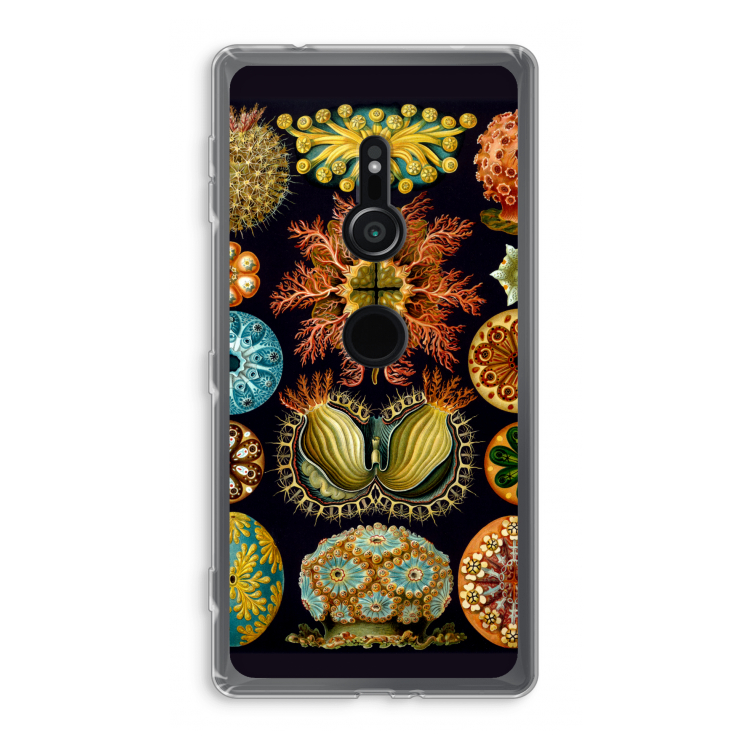 Haeckel Ascidiae: Sony Xperia XZ2 Transparant Hoesje