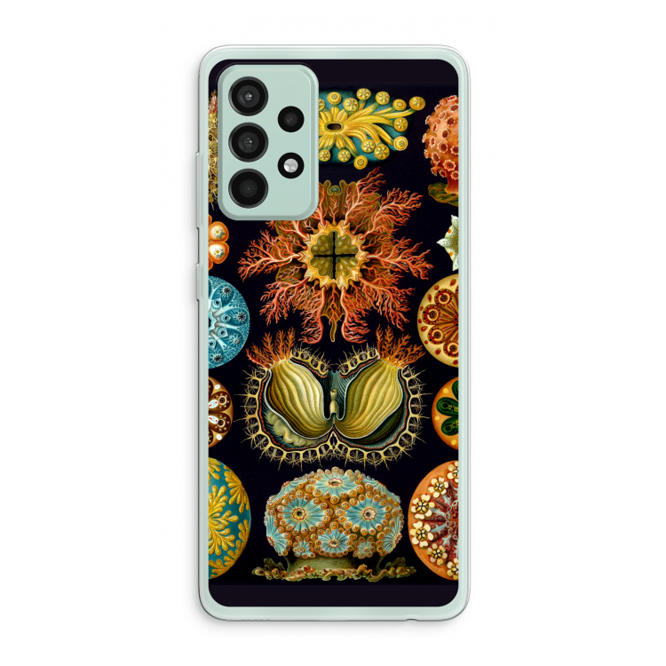 Haeckel Ascidiae: Samsung Galaxy A52s 5G Transparant Hoesje