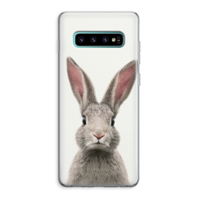 Daisy: Samsung Galaxy S10 Plus Transparant Hoesje