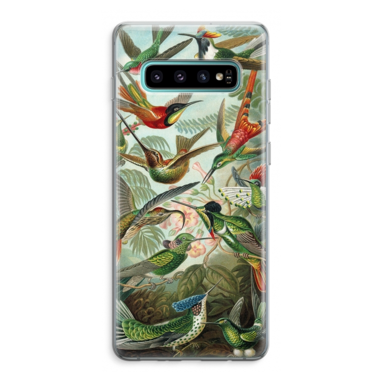 Haeckel Trochilidae: Samsung Galaxy S10 Plus Transparant Hoesje