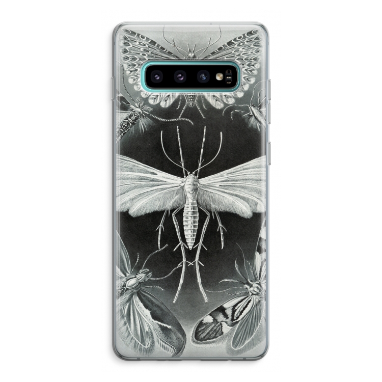 Haeckel Tineida: Samsung Galaxy S10 Plus Transparant Hoesje