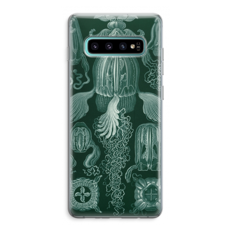 Haeckel Cubomedusae: Samsung Galaxy S10 Plus Transparant Hoesje