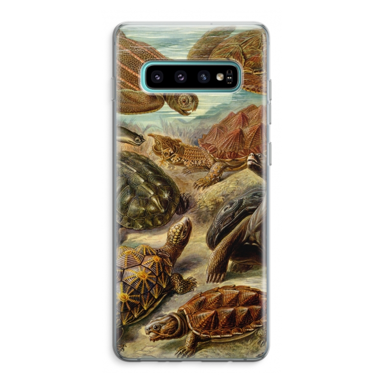 Haeckel Chelonia: Samsung Galaxy S10 Plus Transparant Hoesje