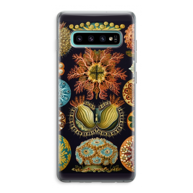 Haeckel Ascidiae: Samsung Galaxy S10 Plus Transparant Hoesje