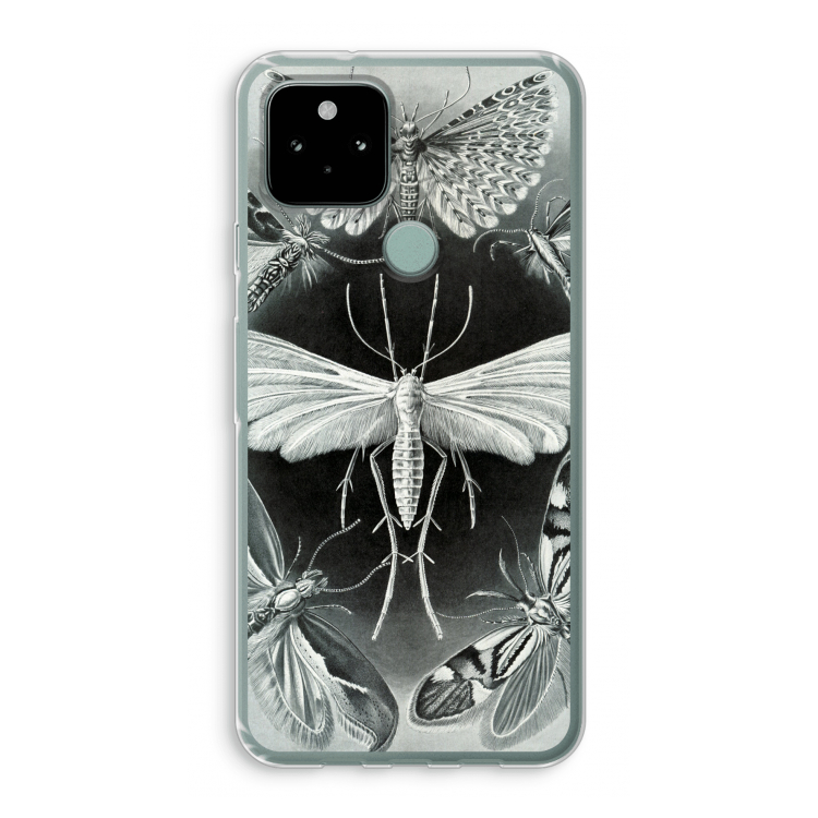 Haeckel Tineida: Google Pixel 5 Transparant Hoesje