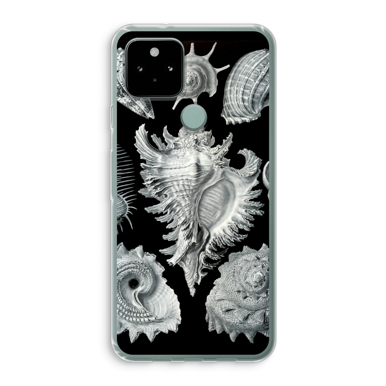 Haeckel Prosobranchia: Google Pixel 5 Transparant Hoesje