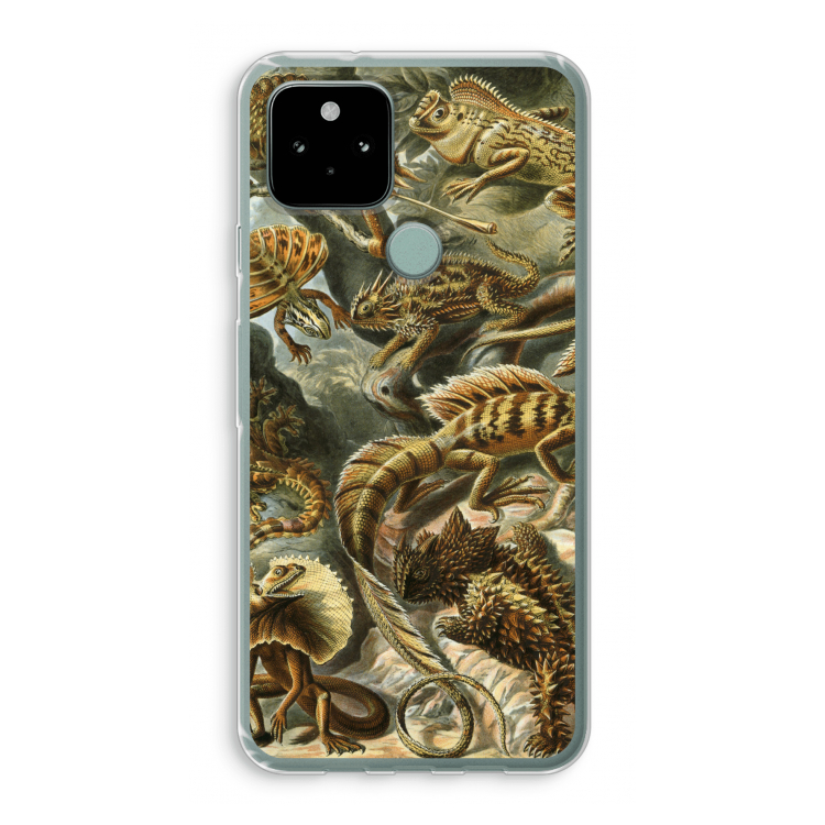 Haeckel Lacertilia: Google Pixel 5 Transparant Hoesje