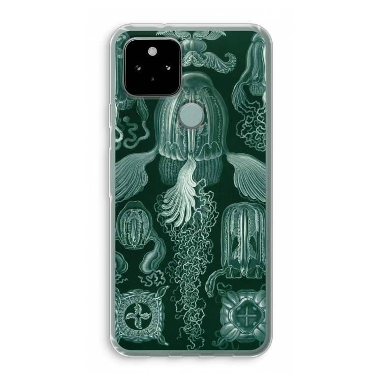 Haeckel Cubomedusae: Google Pixel 5 Transparant Hoesje