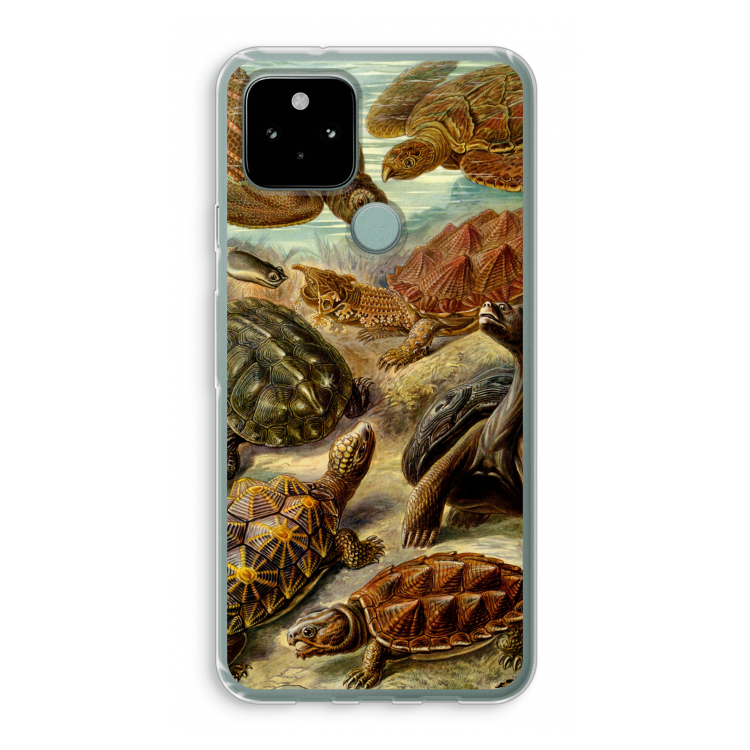 Haeckel Chelonia: Google Pixel 5 Transparant Hoesje