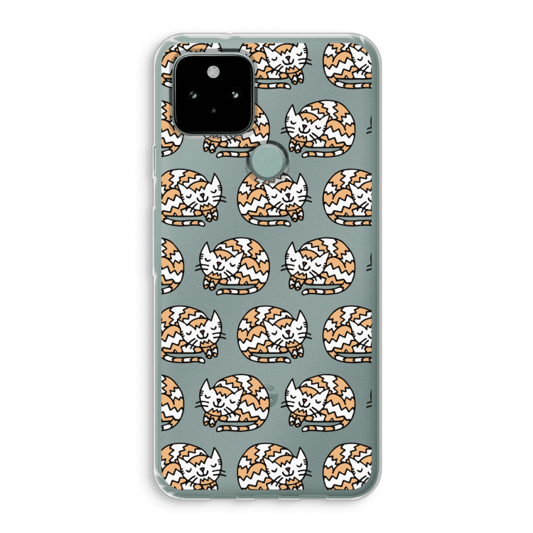 Slapende poes: Google Pixel 5 Transparant Hoesje