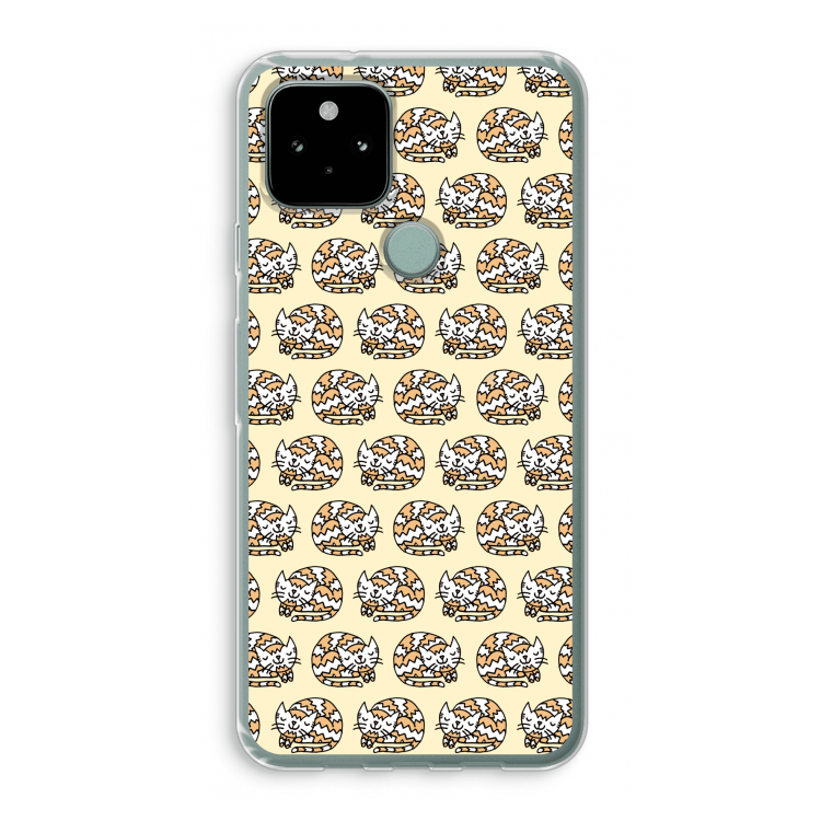 Slapende poes: Google Pixel 5 Transparant Hoesje
