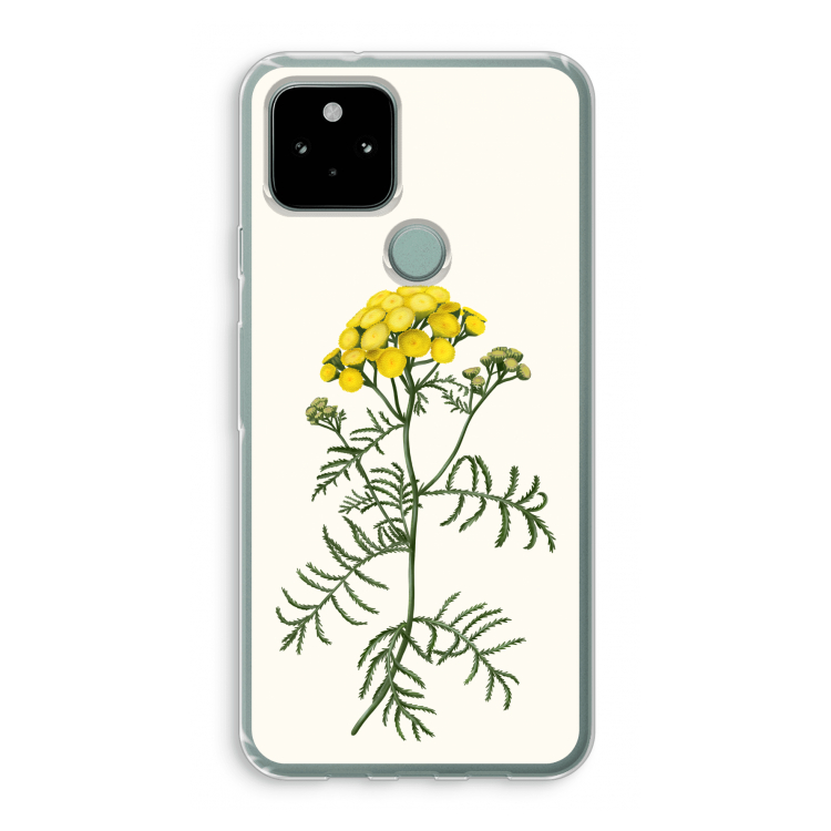 Tansy: Google Pixel 5 Transparant Hoesje