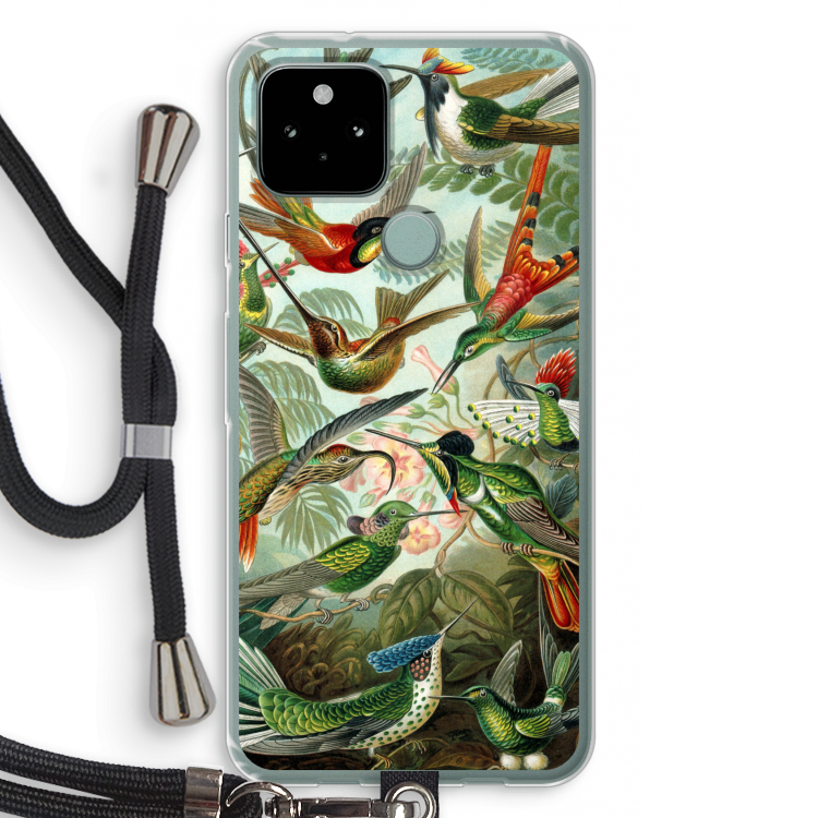 Haeckel Trochilidae: Pixel 5 Transparant Hoesje met koord