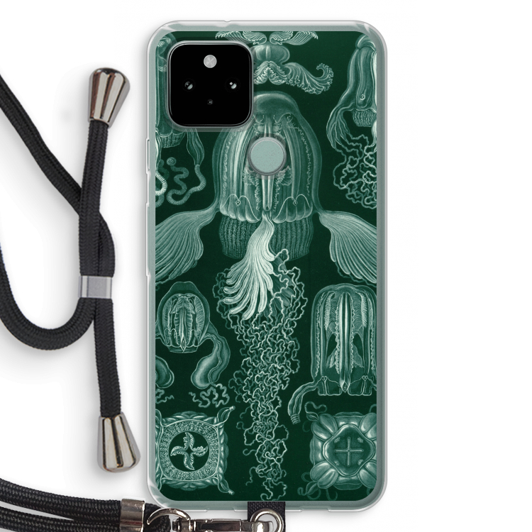Haeckel Cubomedusae: Pixel 5 Transparant Hoesje met koord