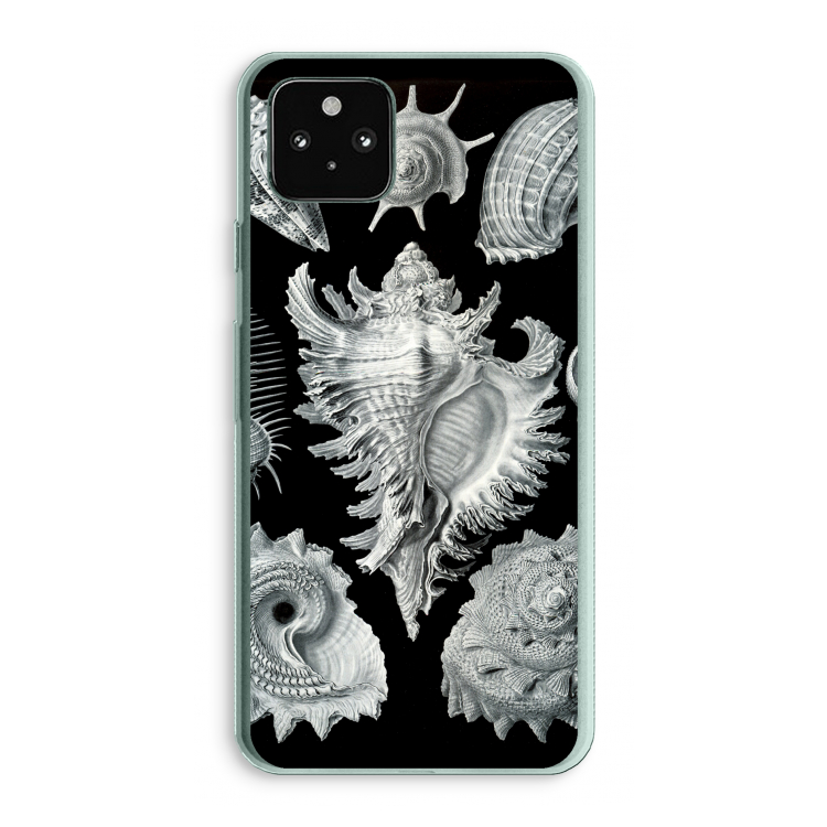 Haeckel Prosobranchia: Google Pixel 5a 5G Transparant Hoesje