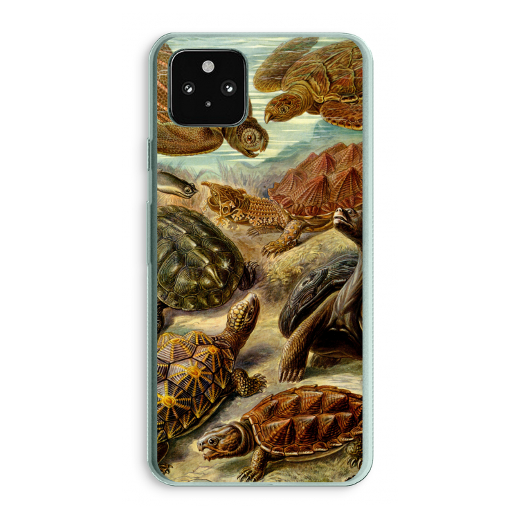 Haeckel Chelonia: Google Pixel 5a 5G Transparant Hoesje