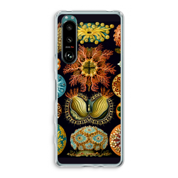 Haeckel Ascidiae: Sony Xperia 5 III Transparant Hoesje