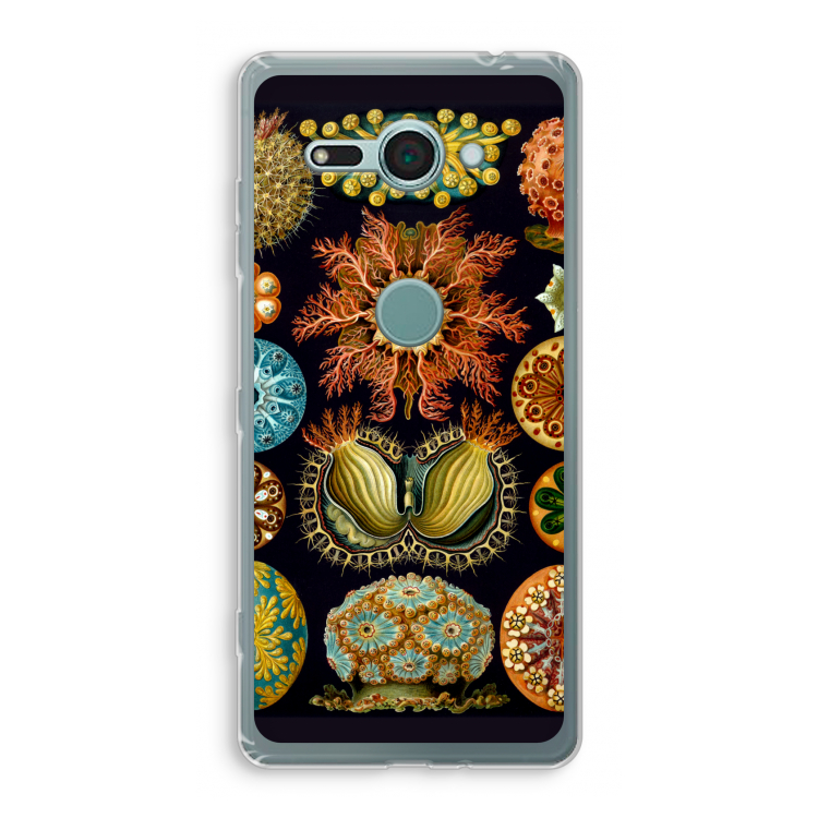 Haeckel Ascidiae: Sony Xperia XZ2 Compact Transparant Hoesje