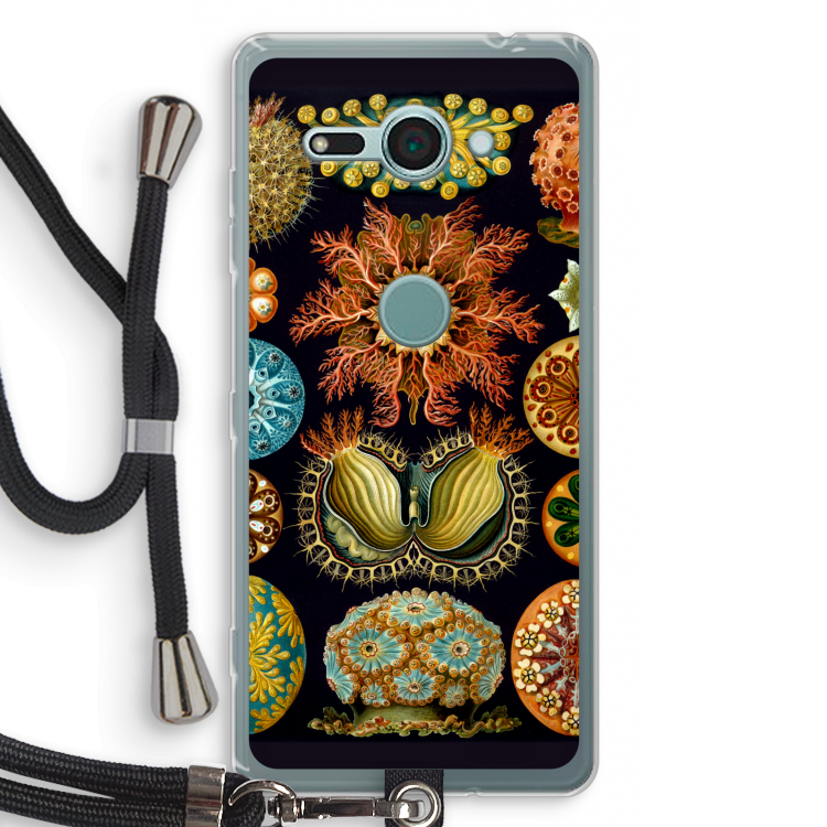 Haeckel Ascidiae: Sony Xperia XZ2 Compact Transparant Hoesje met koord