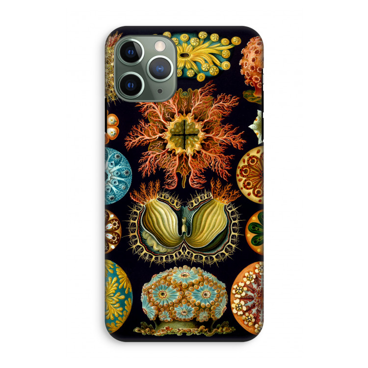 Haeckel Ascidiae: iPhone 11 Pro Tough Case
