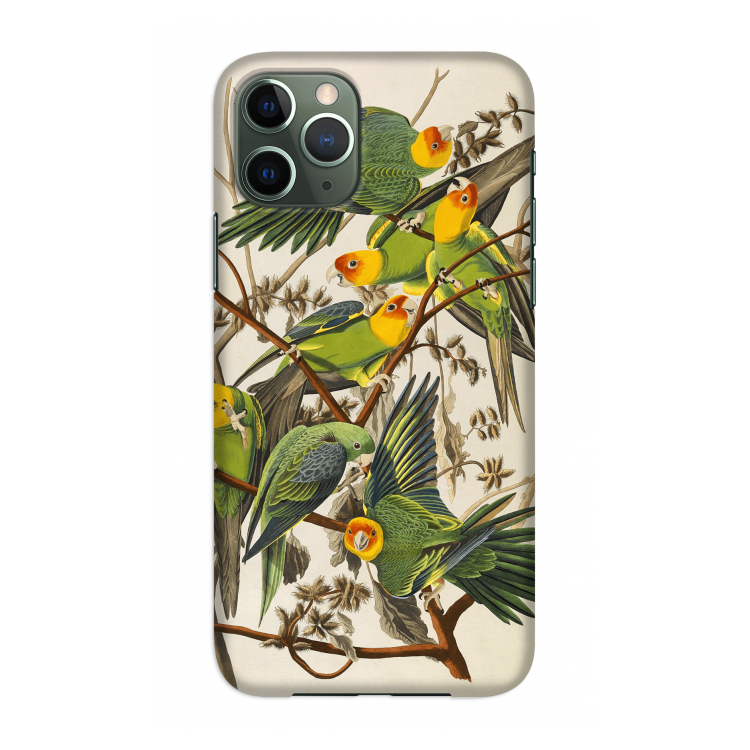 Carolinaparkiet: Volledig geprint iPhone 11 Pro Hoesje