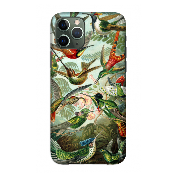 Haeckel Trochilidae: Volledig geprint iPhone 11 Pro Hoesje