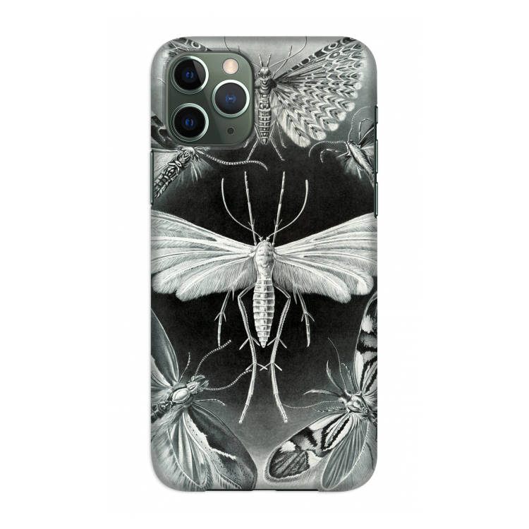 Haeckel Tineida: Volledig geprint iPhone 11 Pro Hoesje