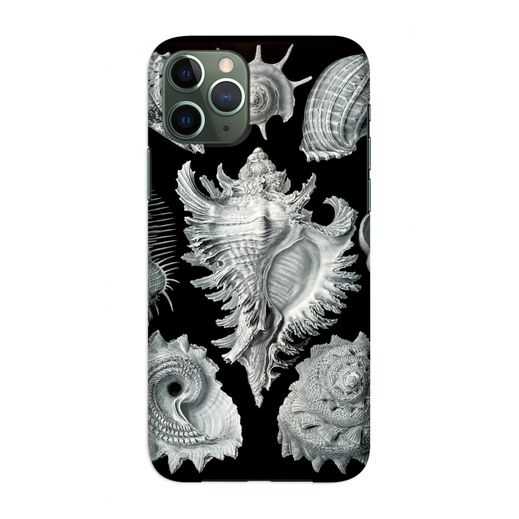 Haeckel Prosobranchia: Volledig geprint iPhone 11 Pro Hoesje