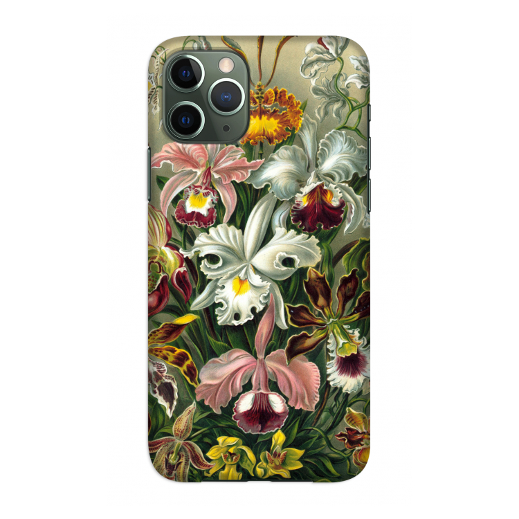 Haeckel Orchidae: Volledig geprint iPhone 11 Pro Hoesje