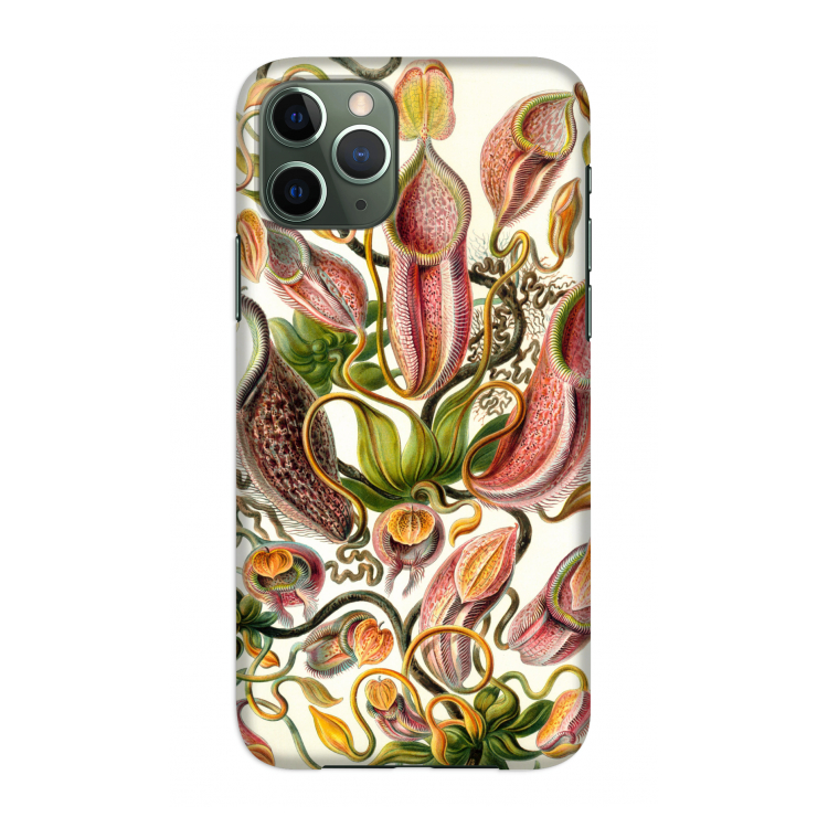 Haeckel Nepenthaceae: Volledig geprint iPhone 11 Pro Hoesje