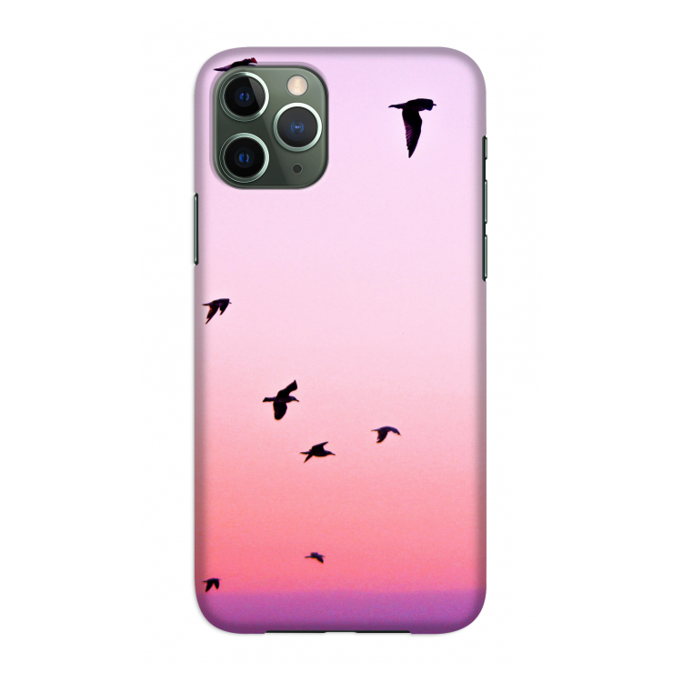 Fly away: Volledig geprint iPhone 11 Pro Hoesje