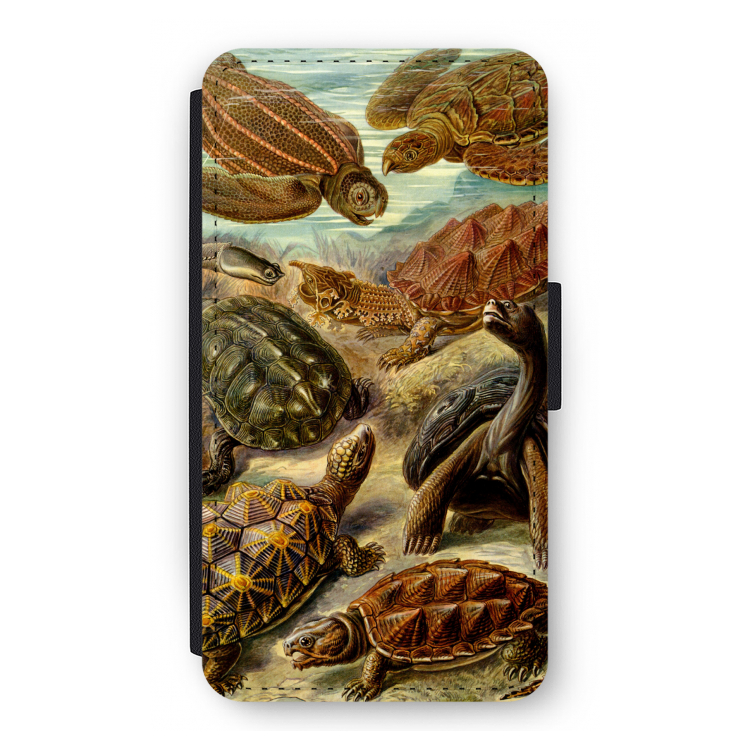 Haeckel Chelonia: iPhone 11 Pro Flip Hoesje