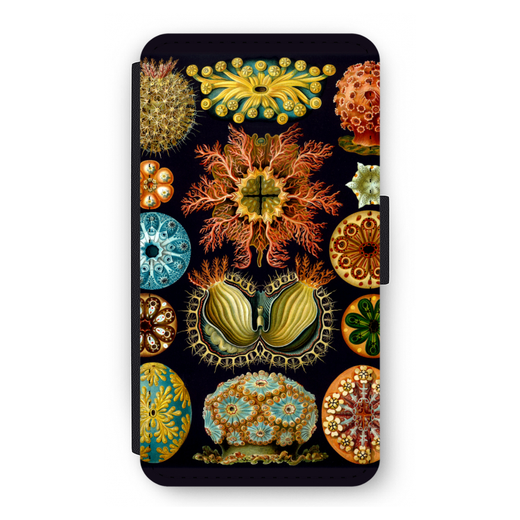 Haeckel Ascidiae: iPhone 11 Pro Flip Hoesje