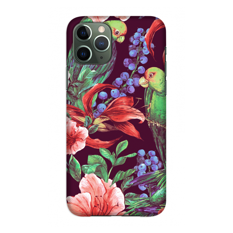 Papegaaien: Volledig geprint iPhone 11 Pro Hoesje