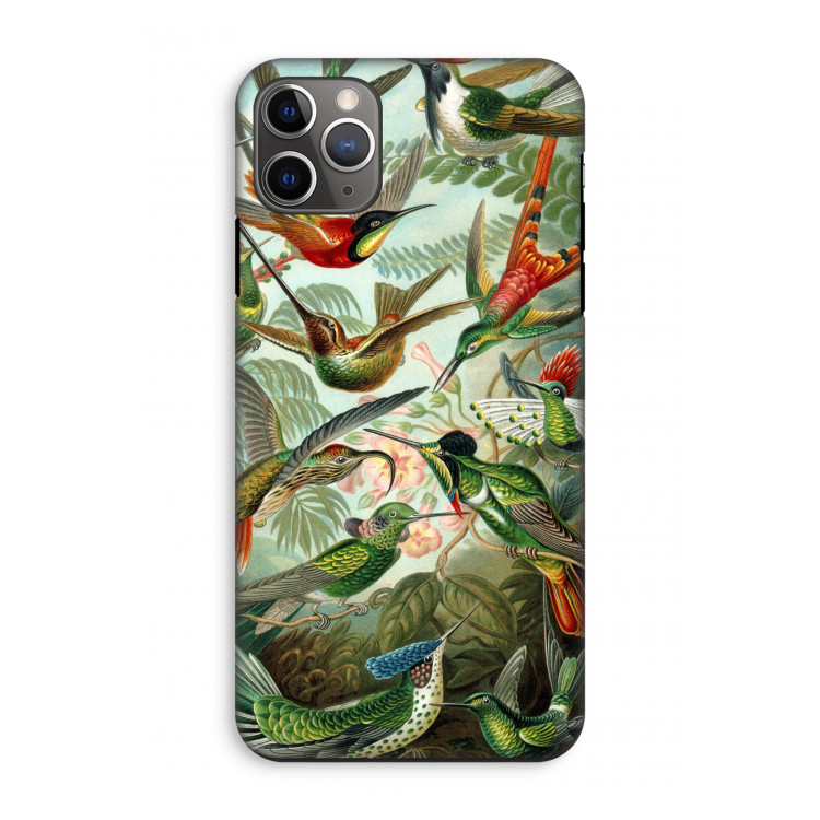 Haeckel Trochilidae: iPhone 11 Pro Max Tough Case