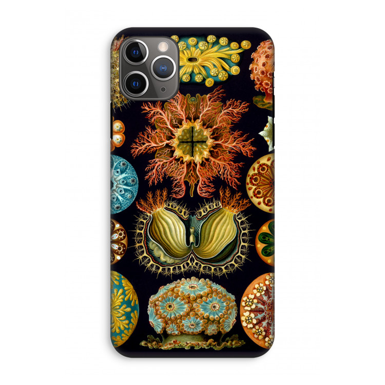 Haeckel Ascidiae: iPhone 11 Pro Max Tough Case