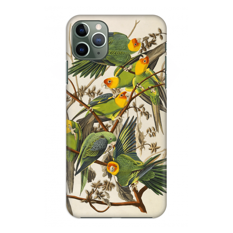 CaseCompany Carolinaparkiet: Volledig geprint iPhone 11 Pro Max Hoesje