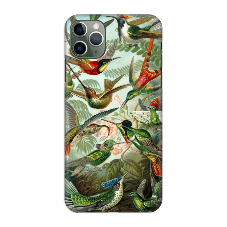 CaseCompany Haeckel Trochilidae: Volledig geprint iPhone 11 Pro Max Hoesje